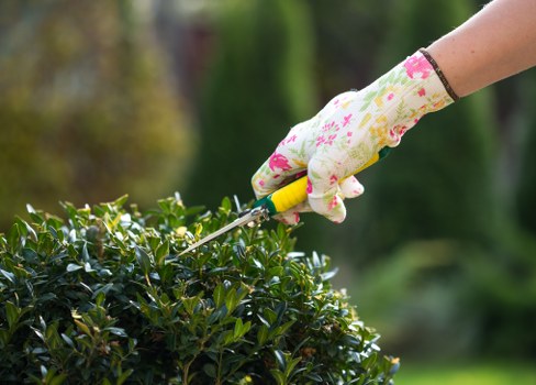 Gardener preparing tools on-site for safe garden work