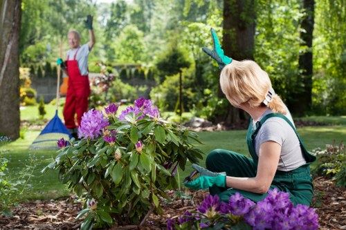 Sustainable gardening practices by Gardener Waterloo
