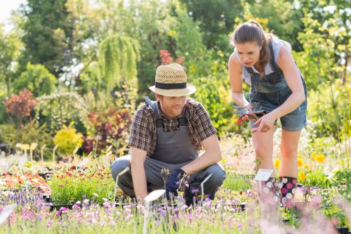 Optimal lawn mowing techniques