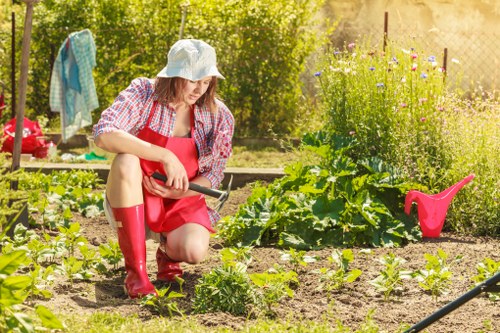Seasonal lawn care practices in Waterloo