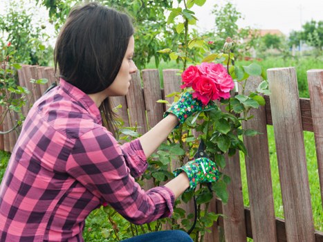 Tools and equipment used in garden clearance