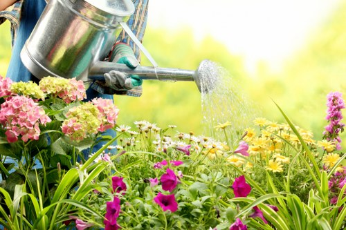 Expert irrigation system installed by Gardener Waterloo