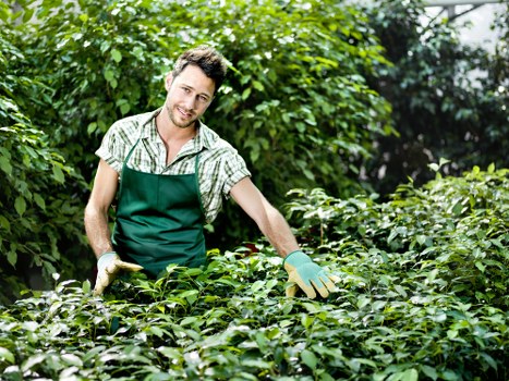 Professional landscape gardening services in Waterloo