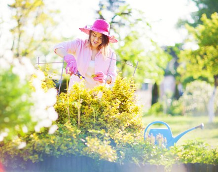 Healthy maintained trees enhancing property value