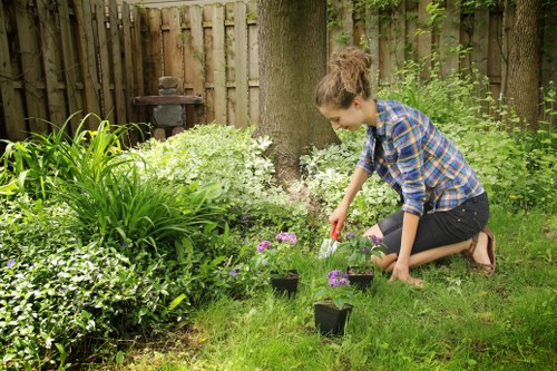 Professional gardener shaping a dense hedge