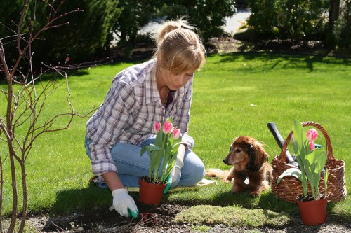 Tranquil outdoor space created by Gardener Waterloo
