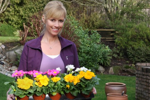 Seasonal gardening tips from Gardener Waterloo