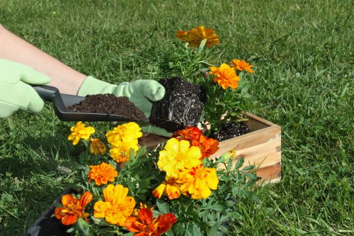 Gardener maintaining a lush garden in Waterloo