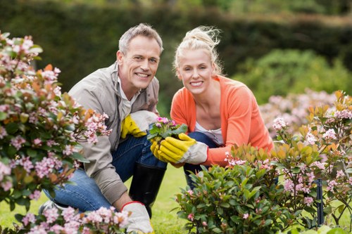 Personalized garden consultation with Gardener Waterloo